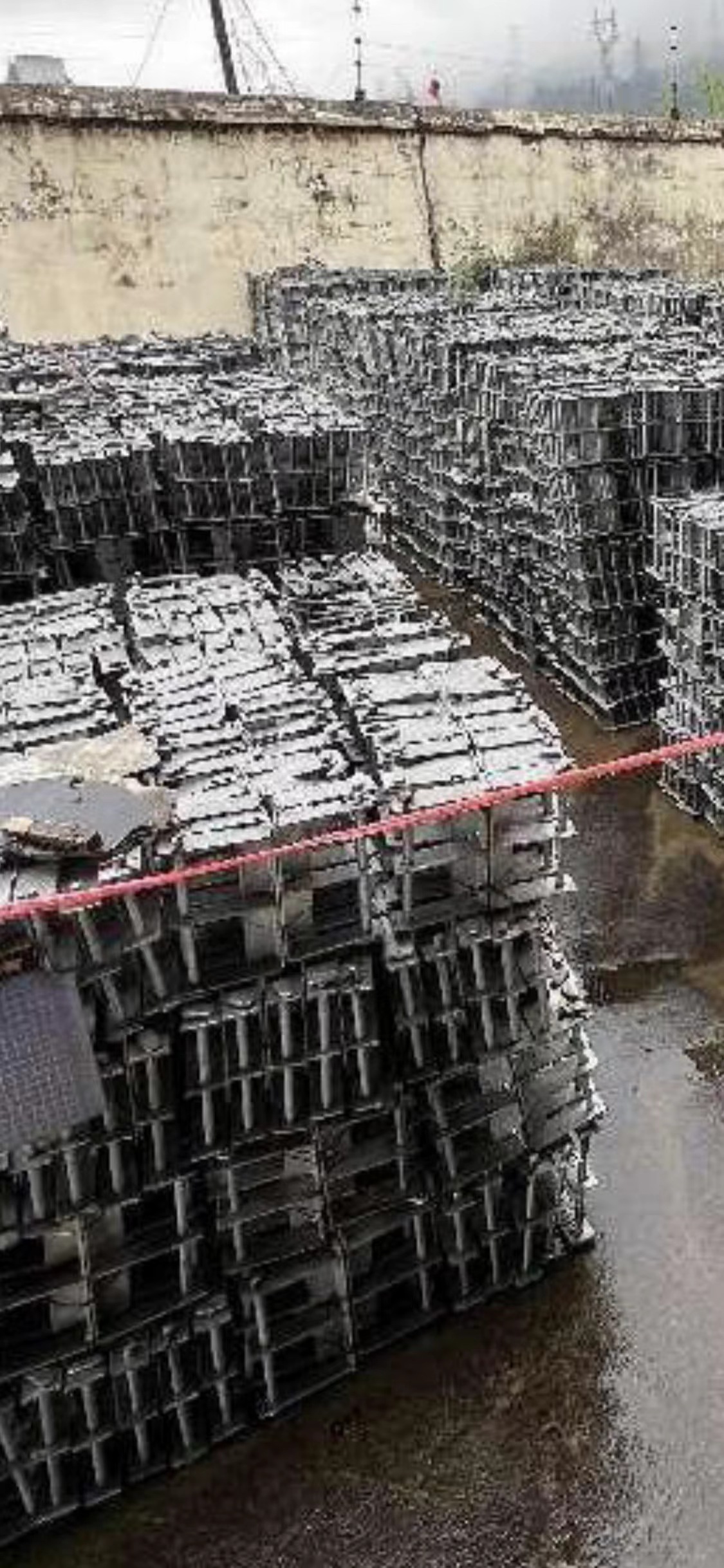 �������ʻ���